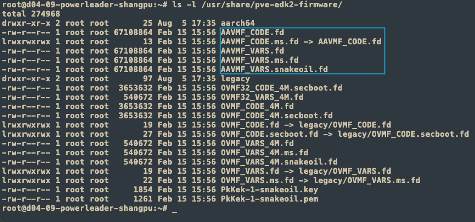 proxmox_arm_uefi_202408051738085.png